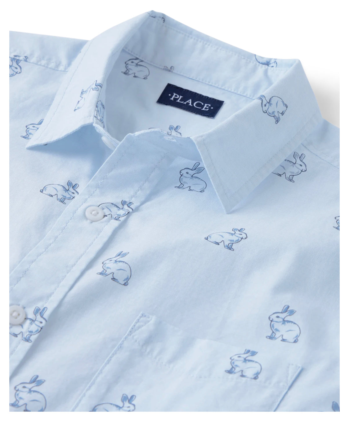 Men’s Place Gingham Cotton Poplin Button Up Shirt