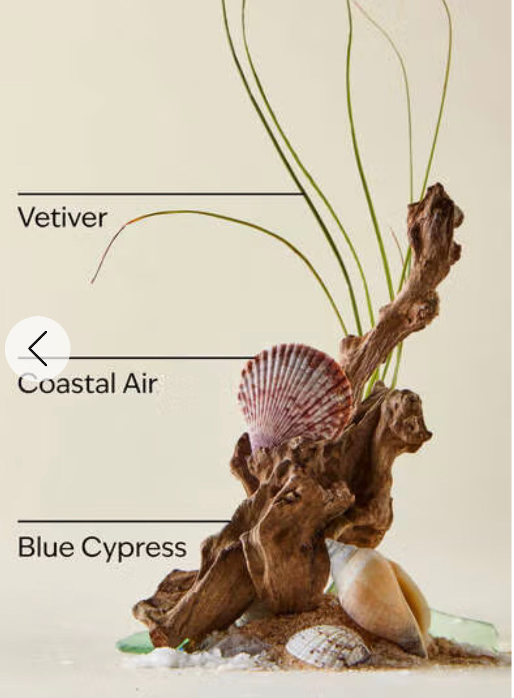 Men’s Ocean Beard Oil by Bath and Body Works.