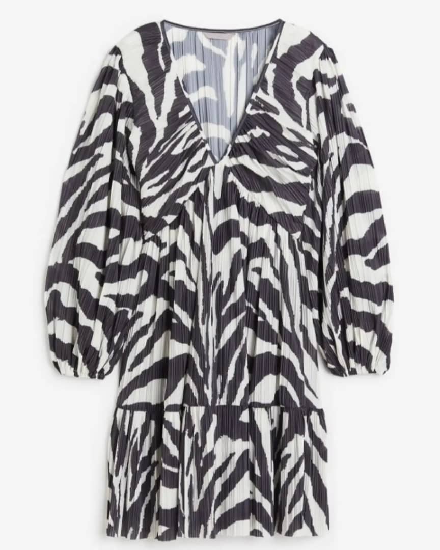LWomen’s Long Sleeve Pleated Dress