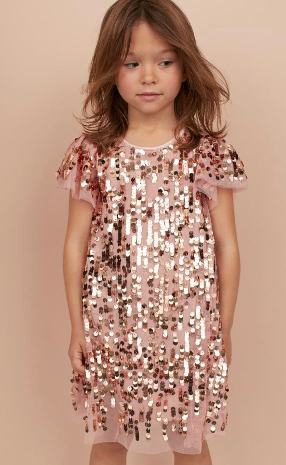 A- Line Sequin Dress by H&M