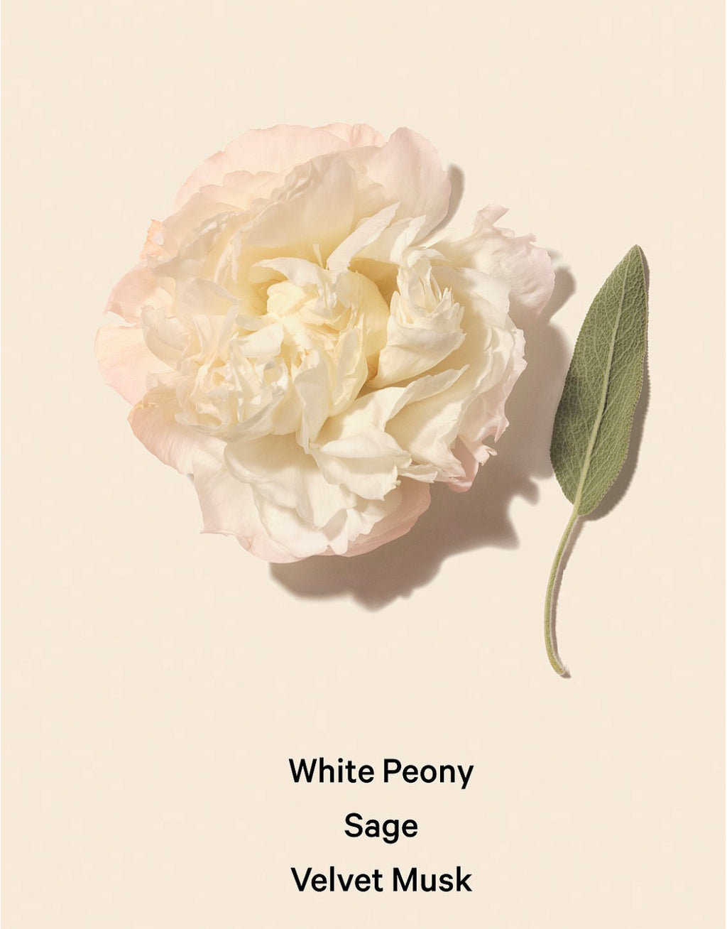 Bombshell Seduction Fragrance Mist by Victoria’s Secret.