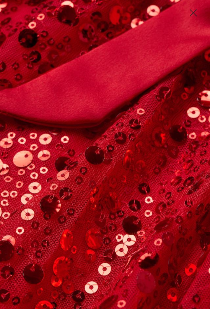 Sequined Sleeveless Tulle Dress